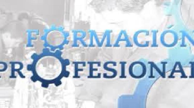 formacionprofesional