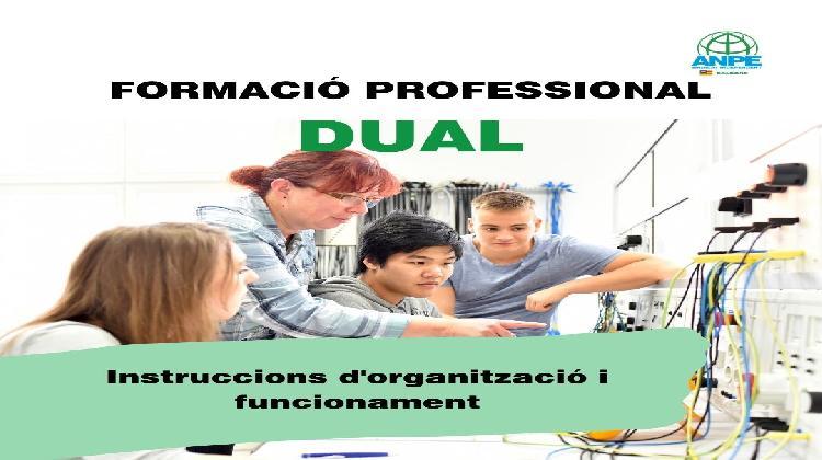 formaciÓ-professional-dual